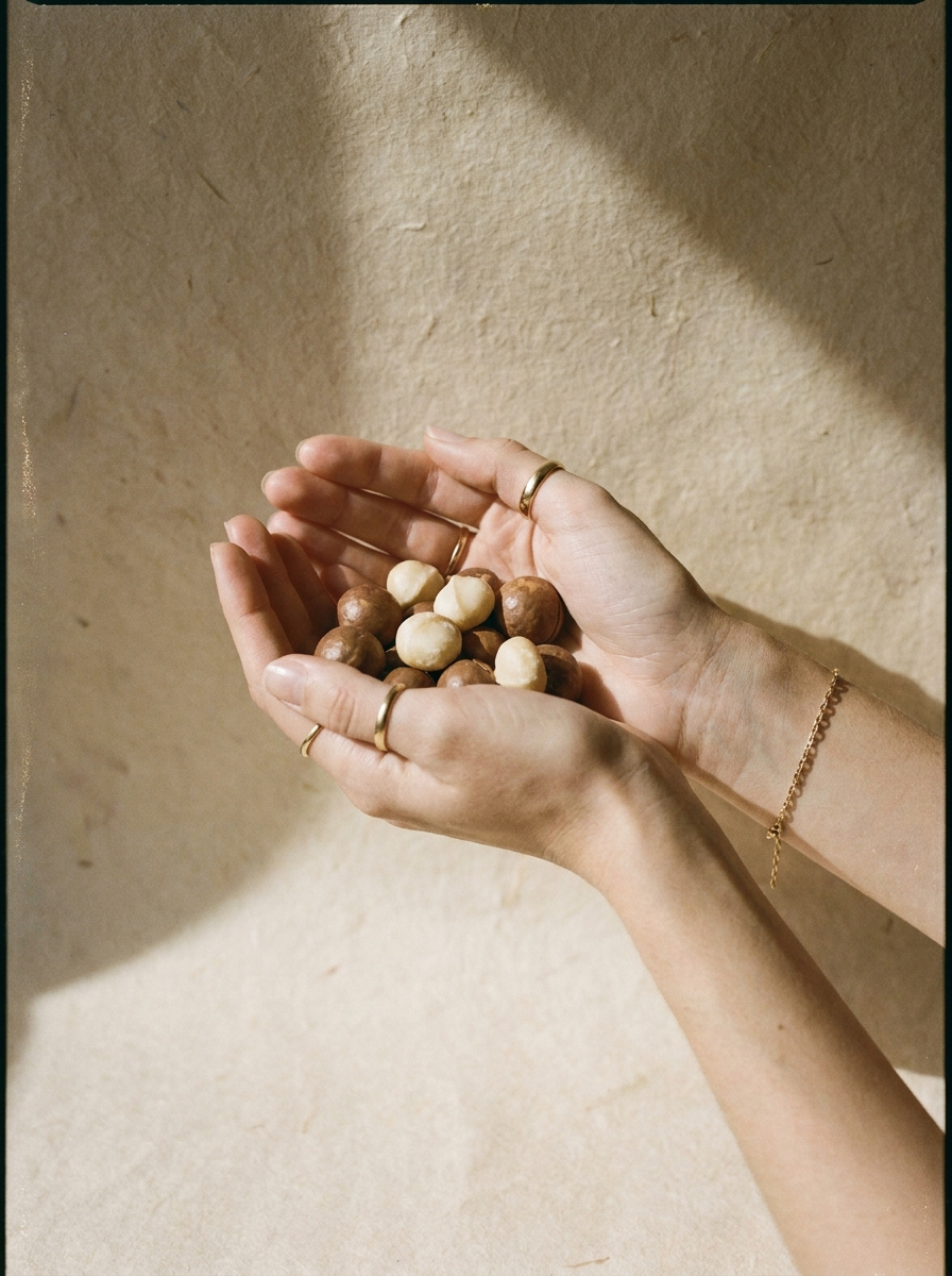 Macadamia Bio in der Hand – editorial